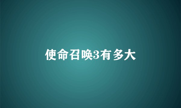 使命召唤3有多大
