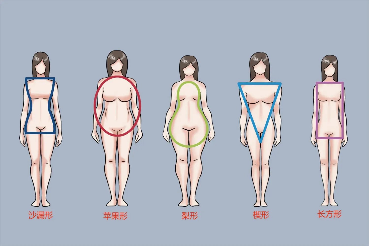 5种肥胖体型图