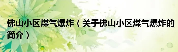 佛山小区煤气爆炸（关于佛山小区煤气爆炸的简介）