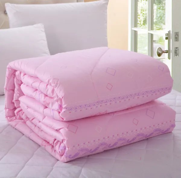 被子里的公息全章