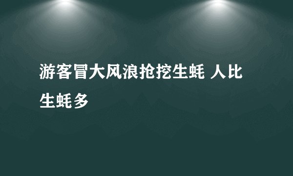 游客冒大风浪抢挖生蚝 人比生蚝多