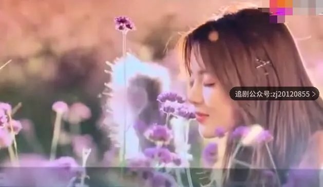 仲夏满天星电视剧免費