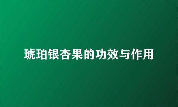 琥珀银杏果的功效与作用