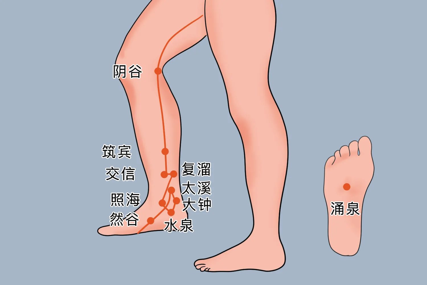 脚心上的经络图