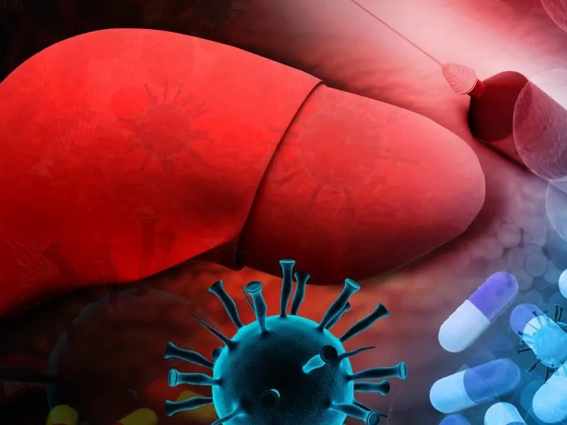 乙肝受体的研究意义