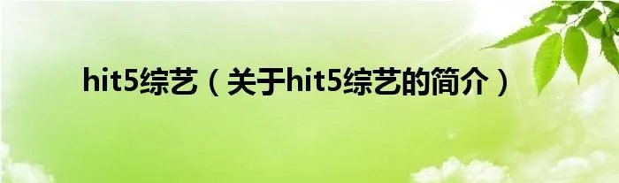 hit5综艺（关于hit5综艺的简介）