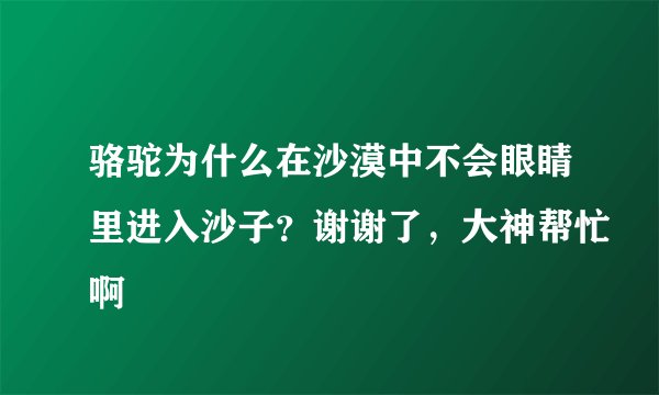 骆驼为什么在沙漠中不会眼睛里进入沙子？谢谢了，大神帮忙啊