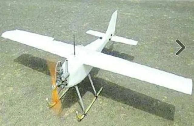 训练老鹰抓无人机有前途吗？