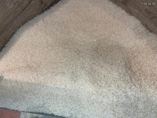 中国每年粮食产后损失700亿斤 损耗严重引关注