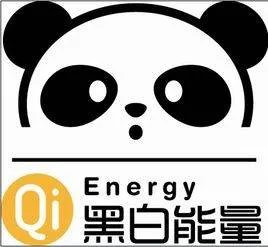 黑白能量的介绍