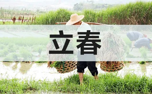 今年打春是哪天2022几点打春