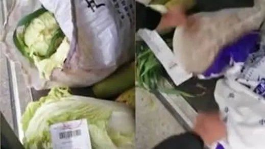 乘客带白菜被罚款你怎么看待：详情真相最后怎么怎么解决的