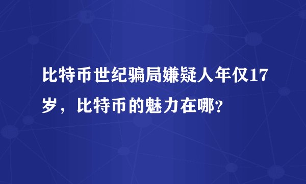 比特币世纪骗局嫌疑人年仅17岁,比特币的魅力在哪?