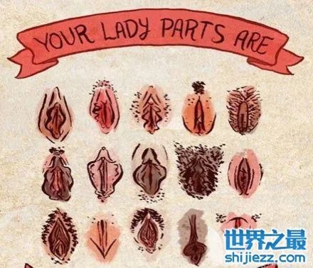 最真实的女人私长处啥样图片,擦下口水禁止幻想