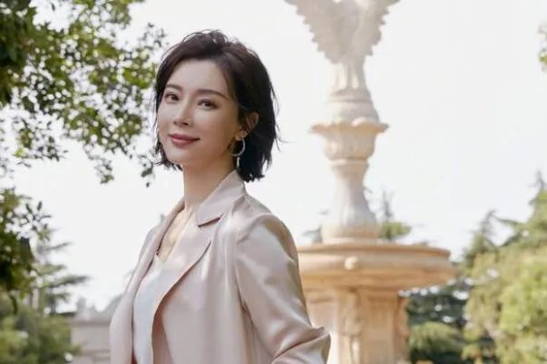 陈数第一任老公的简介：钢琴家赵胤胤(太姑奶奶是婉容)