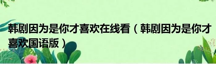 韩剧因为是你才喜欢在线看(韩剧因为是你才喜欢国语版)