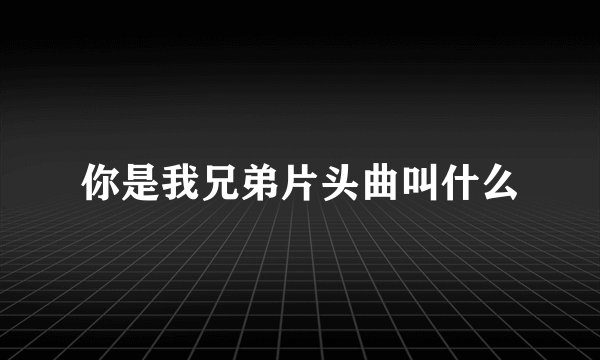 你是我兄弟片头曲叫什么