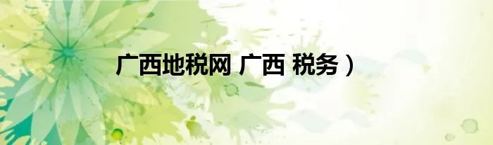 广西地税网 广西 税务）