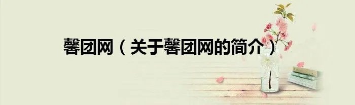 馨团网（关于馨团网的简介）