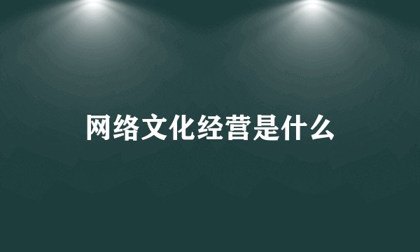网络文化经营是什么
