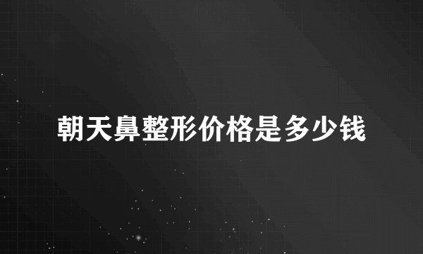 朝天鼻整形价格是多少钱