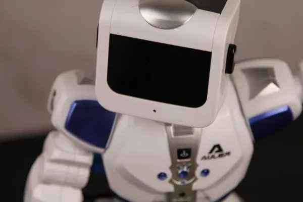 山东小伙用8年种出天然椅子，你坚持做最久的事情是什么？