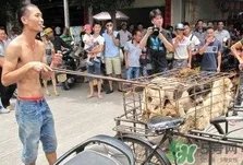 狗肉节是几月几号?2017玉林狗肉节是什么时候