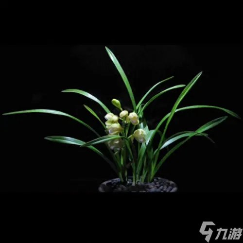 剑网三 素冠荷鼎 剑网三素冠荷鼎怎么上