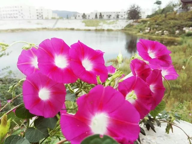 如何看待“最虐狗考研情侣1314考场，女生坐13桌，男生坐14桌”这件事？