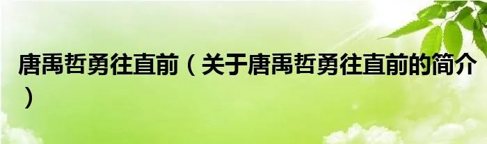 唐禹哲勇往直前（关于唐禹哲勇往直前的简介）