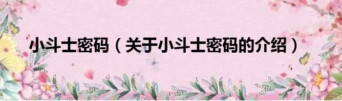 小斗士密码（关于小斗士密码的介绍）