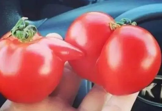 13个图片看你污不污:第一样看就能迷惑到你