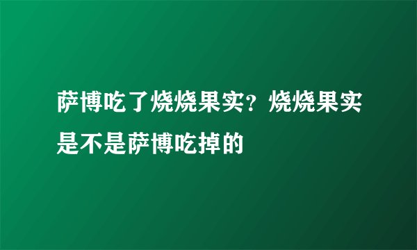 萨博吃了烧烧果实？烧烧果实是不是萨博吃掉的