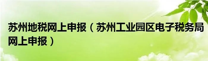 苏州地税网上申报（苏州工业园区电子税务局网上申报）