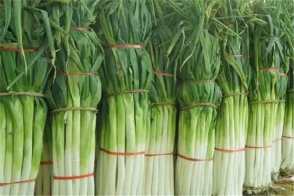 大葱价格短短几天翻几倍,为什么价格会上涨这么快?