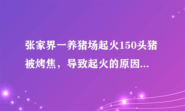 张家界一养猪场起火150头猪被烤焦，导致起火的原因是什么？
