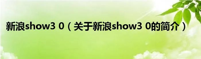 新浪show3 0(关于新浪show3 0的简介)