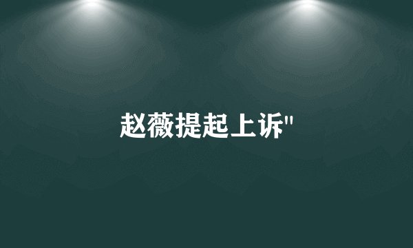 赵薇提起上诉