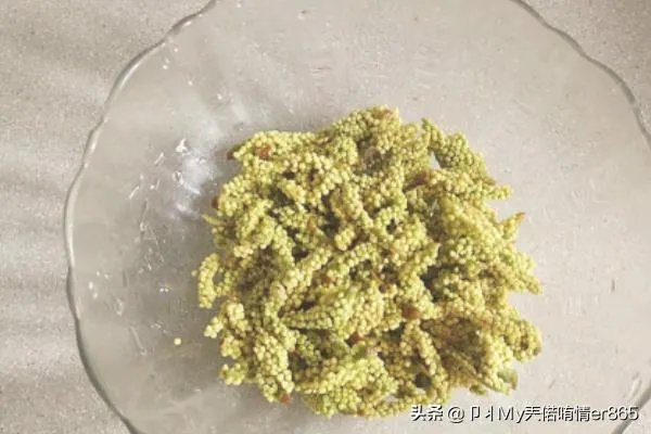 棕树花苞吃法大全