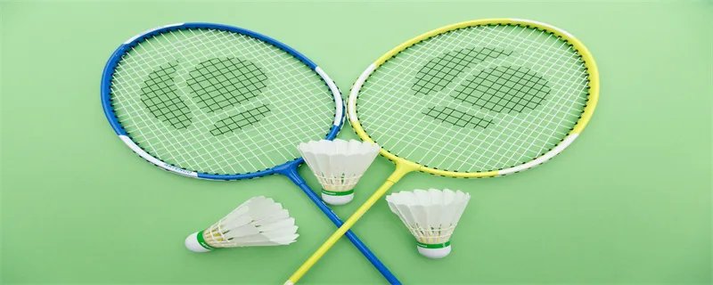 羽毛球上有多少羽毛 羽毛球上的羽毛有几根