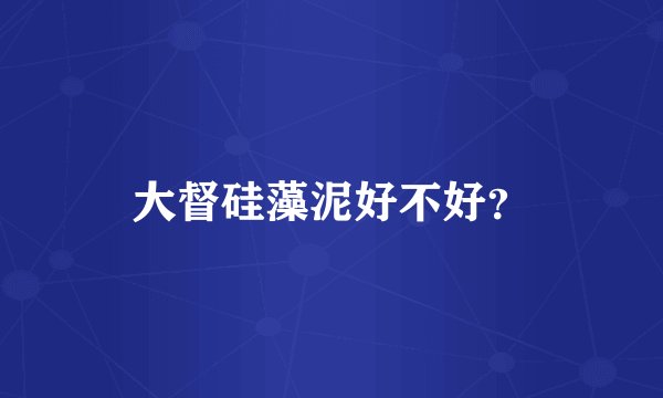 大督硅藻泥好不好？