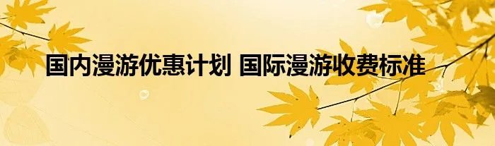 国内漫游优惠计划 国际漫游收费标准