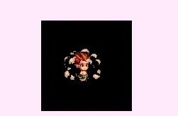 DNF2013春节礼包 宠物属性全展示附图片