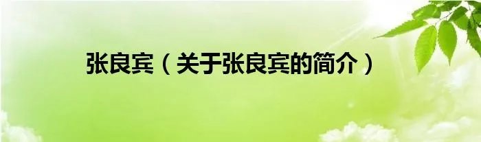 张良宾（关于张良宾的简介）
