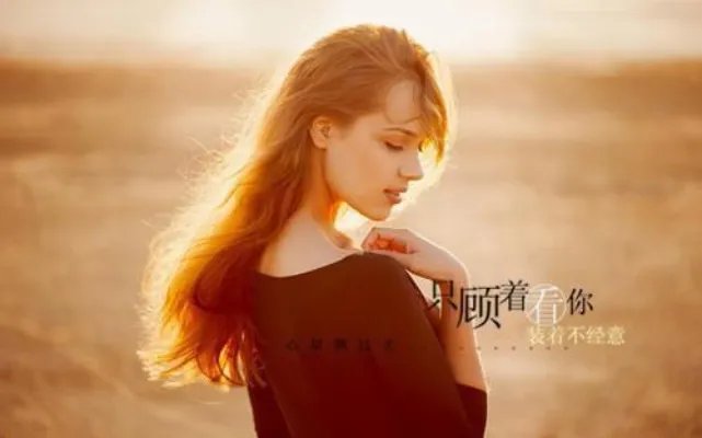 前妻你别躲唐汐媛 前妻你别躲免费阅读