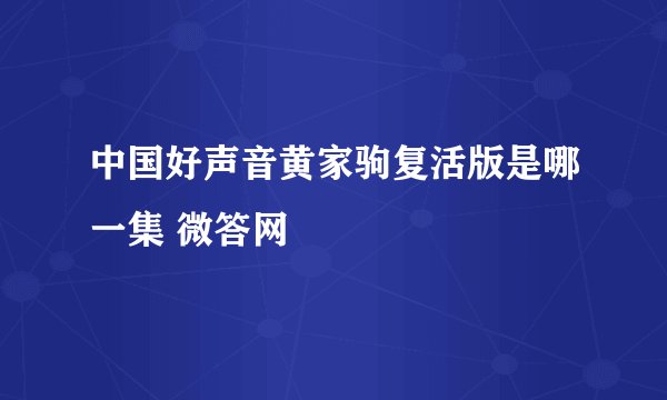 中国好声音黄家驹复活版是哪一集 微答网