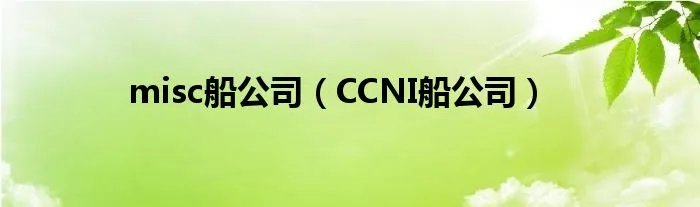 misc船公司（CCNI船公司）