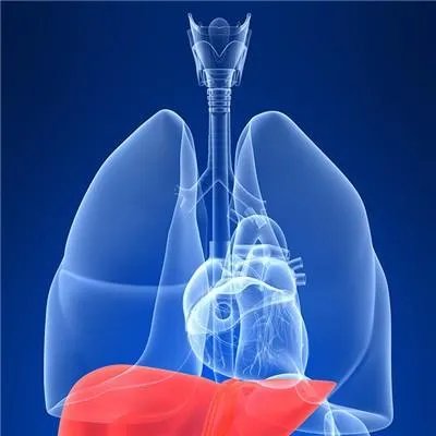 治疗丙肝去哪里