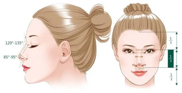 鼻子整形的价格与什么因素有关？