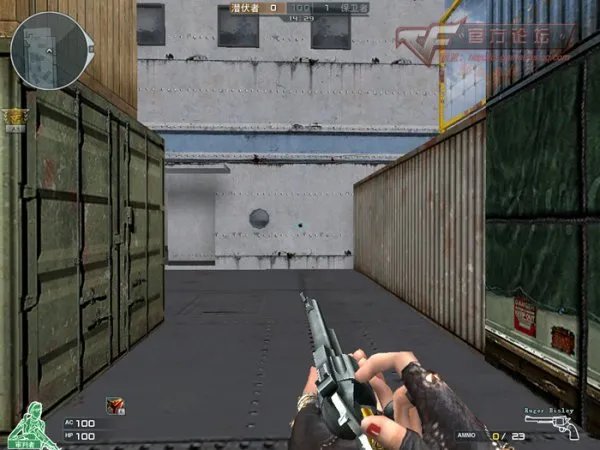 火线老枪新说 单点神器手枪Ruger Bisley